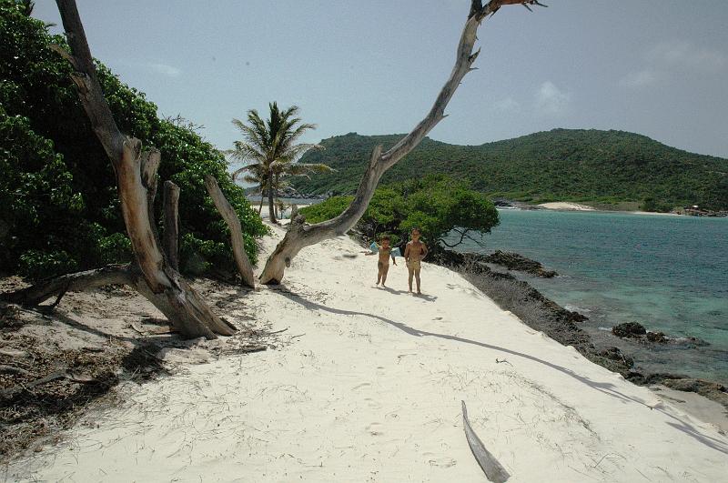 testigos 032.jpg